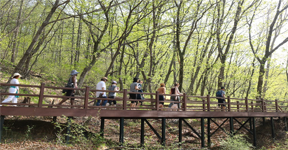 순천대 평생교육원, 산림치유지도사 2급 양성과정 수강생 모집