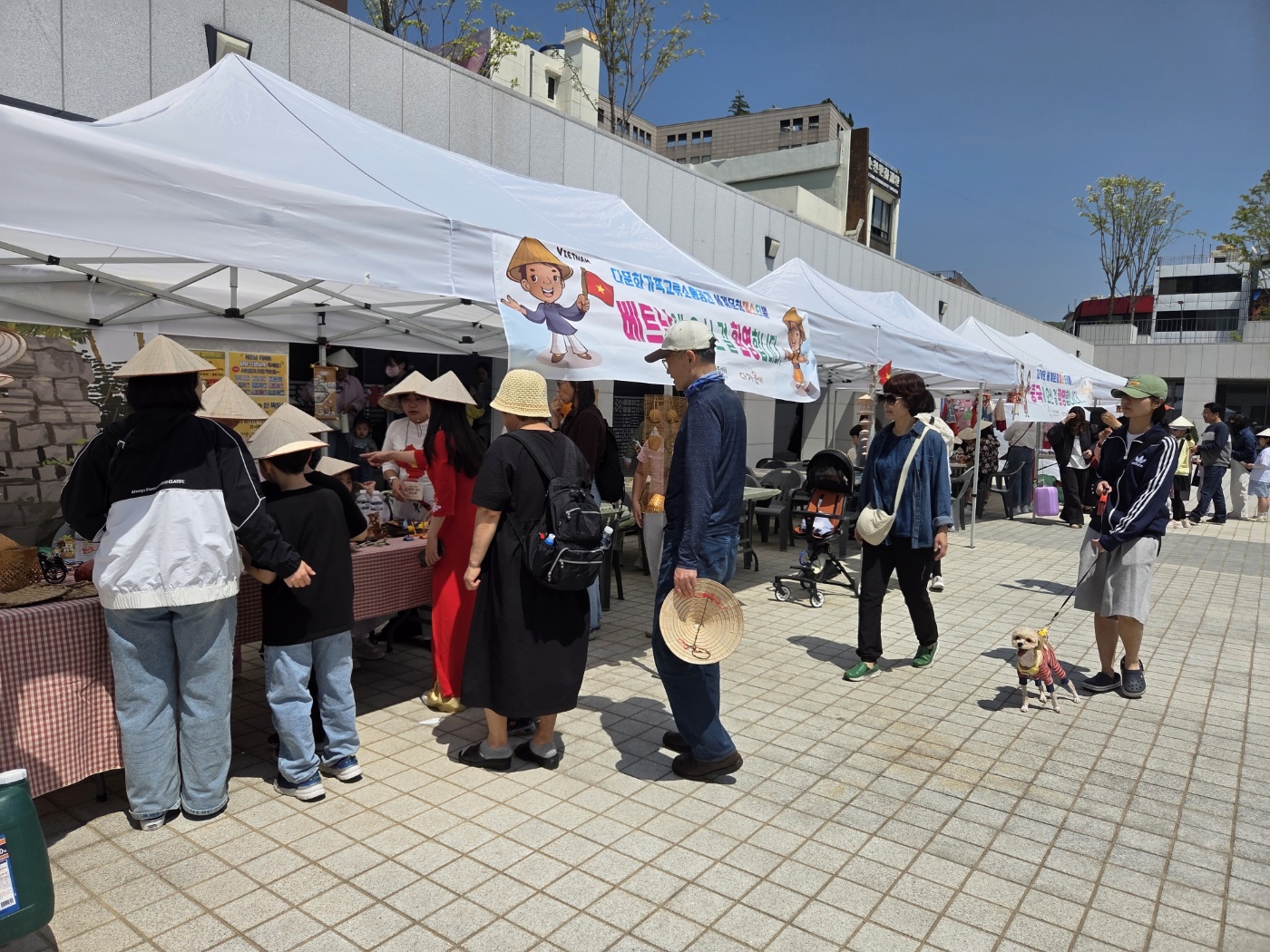IMG_153651.jpeg