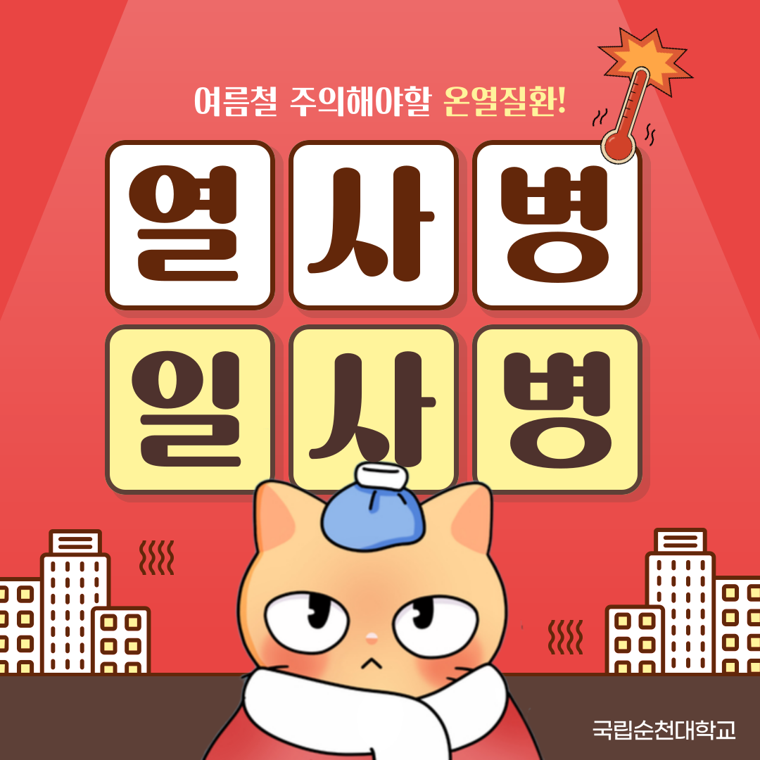 IMG_225206.png