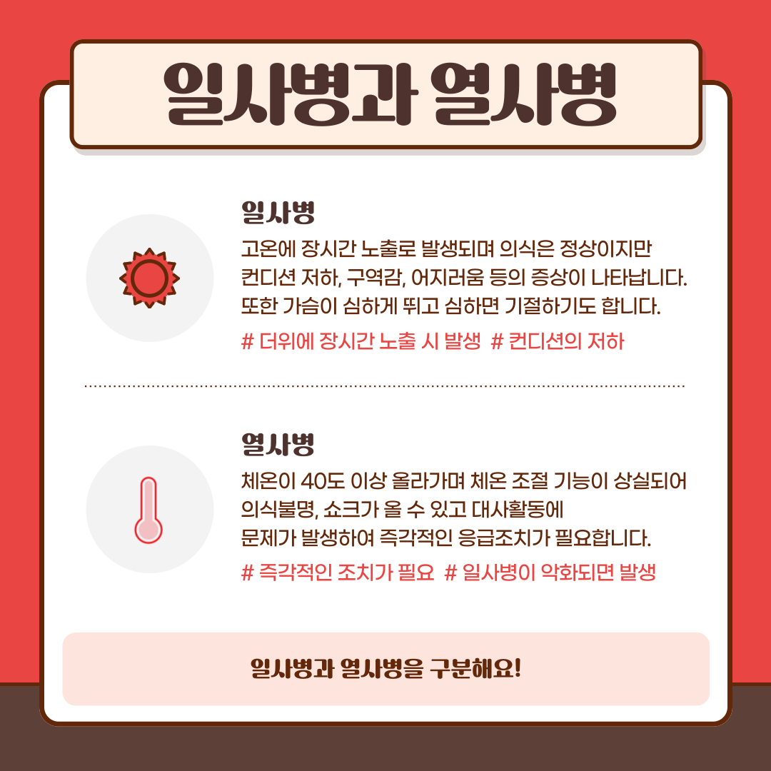 IMG_225249.png