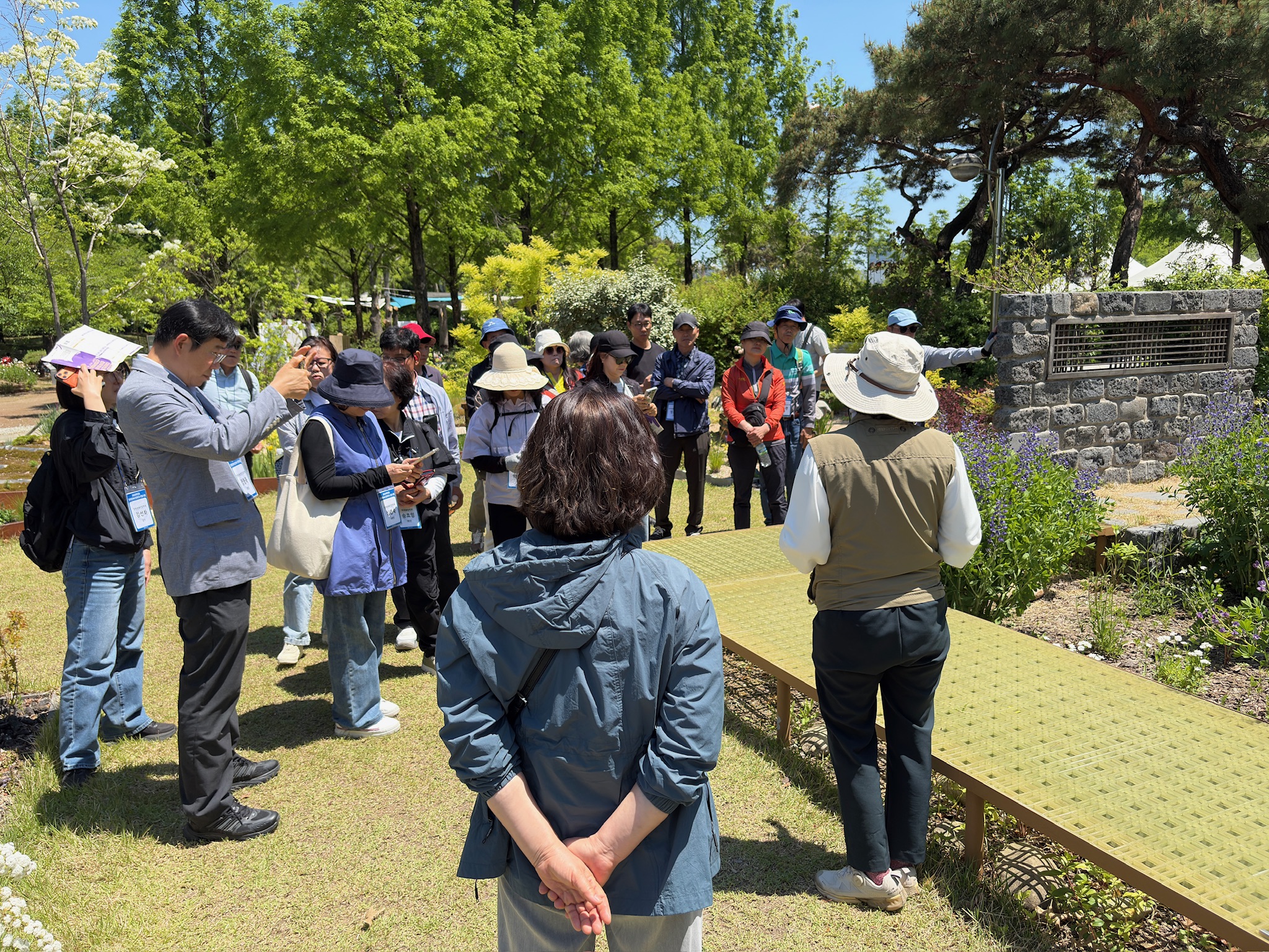 IMG_153043.jpeg