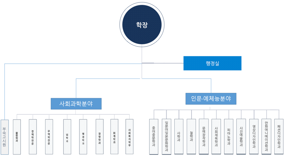 조직도:학장/행정실-부속고시원/사회과학분야-물류학과,경제학전공,무역학전공,법학과,행정학과,경영학과,회계학과,사회복지학부/인문예체는분야-중어중문학과,일본어일본문화학과,사학과,철학과,문예창작학과,사회체육학과,피아노학과,사진예술학과,영상디자인학과, 만화애니메이션학과, 패션디자인학과