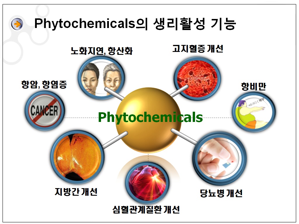 임상영양생화학 실험실 사진