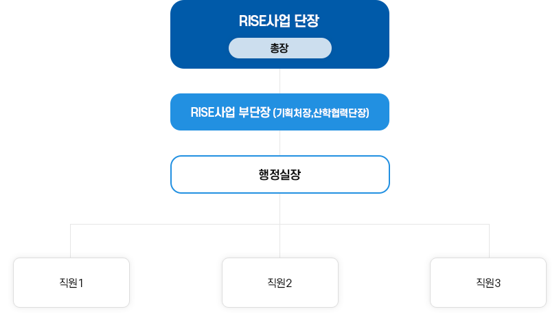 RISE사업 단장 총장 - RISE사업 부단장(기획처장,산학협력단장) - 행정실장 - 직원1 직원2 직원3